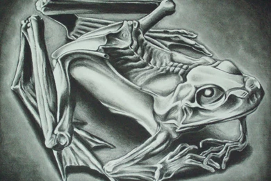 Arts Review: The Amazing World Of MC Escher.