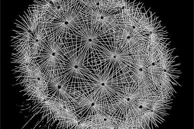 Blowball   Optical Illusion M C Escher Art Wallpapers Picture