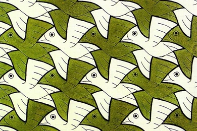 Symmetry Watercolor 106 Bird   Optical Illusion M C Escher Art ...