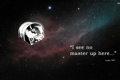 Yuri Gagarin Wallpapers Laika (page 4)   Pics About Space