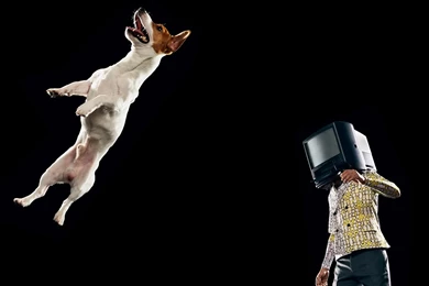 Yuri Gagarin Wallpapers Laika (page 2)   Pics About Space