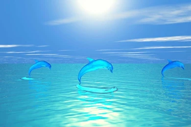 Computer Desktop Backgrounds Free   Wallpapers High Definition