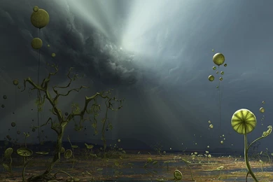 Click To Enlarge Amazing Fantasy Wallpapers Blue Wallpapers