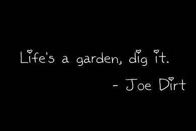 1 Joe Dirt HD Wallpapers