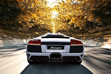 Lamborghini Wallpapers   Desktop Wallpapers