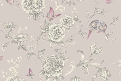 Colours Evelyn Grey Wallpapers