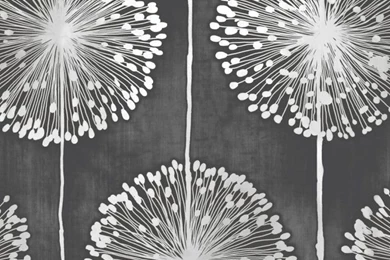 Muriva Dandelion Floral Designer Feature Wallpapers Black / Grey ...