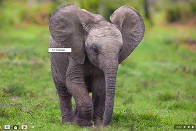 Spotted: Wallpapers On Your