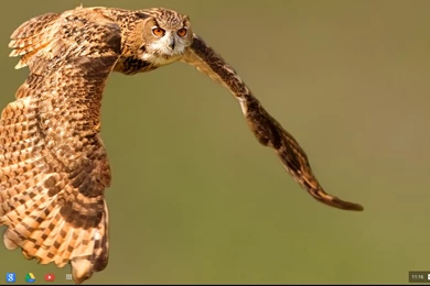 Screenshot+2013 09 13+at+11.16.23+PM.png