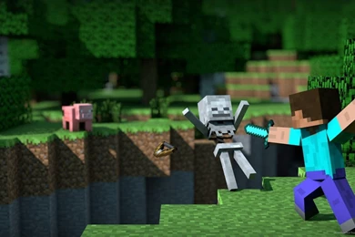 2560x1440 Minecraft Stabbing Wallpapers