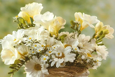 Sweet Wallpapers — Free Full HD Wallpaper. Widescreen HQ Desktop ...