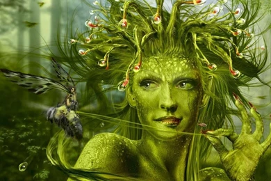 Spicy Wallpapers Coffee: Nymphs