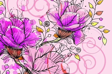 1920x1080 Pink Flowers Backgrounds Wallpapers