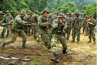 Dota Razor (id: 66373) – BUZZERG