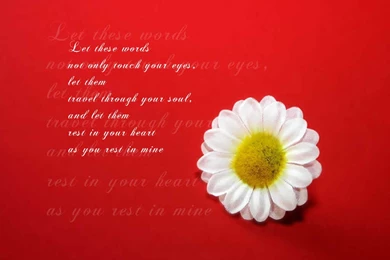 Wallpapers Quotes For Iphone Tumblr Life Hd Funny Love For Mobile ...