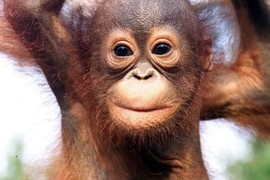 Give Me....(Game)   Page 34