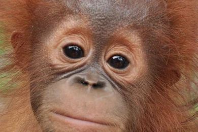 Bjorntoday's DeviantArt Gallery