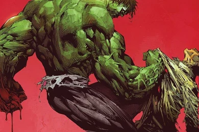 Hulk (comic Character) Comics Marvel Comics Incredible Hulk The ...