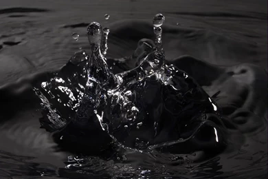 Dark Water – BUZZERG