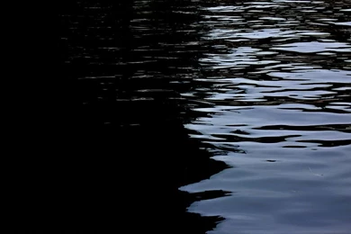 Dark Waters [Wallpaper]