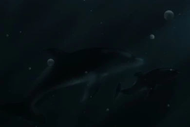 Bubble iPhone 5s Wallpapers