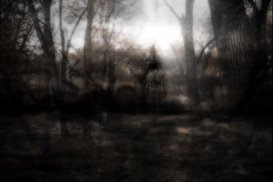 The_dark_waters 573806.jpeg