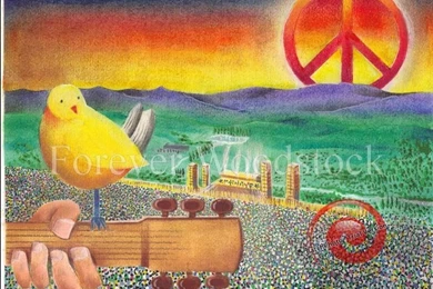 Woodstock Backgrounds