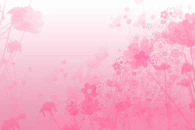Pink Wallpaper HD Background.jpg