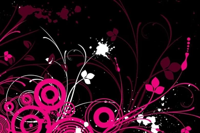 1024x768px Pink And Black Wallpapers Free Download