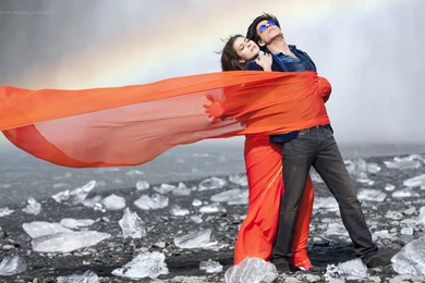 Shah Rukh Khan Kajol Dilwale Wallpapers