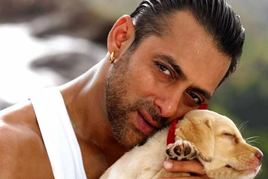 Latest Great Collections Of Salman Khan Hd Wallpapers For Free
