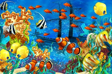 Coral Fish Ocean Life Wallpapers HD Free Download Desktop