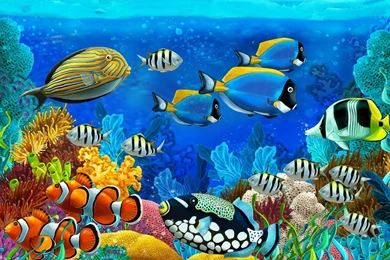 Reef Fish Sea Life Wallpapers For Desktop Of Underwater Life