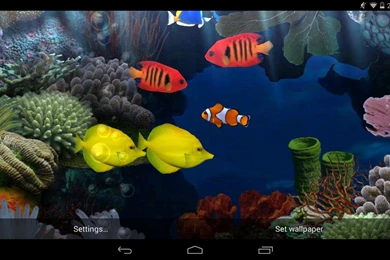 Top Live Wallpapers   HD Wallpapers And Pictures