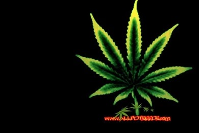 Eoo50ylu: Cannabis Wallpapers