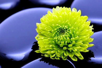 HTC Wallpapers HD   Beautiful, Stunning Nature Wallpapers