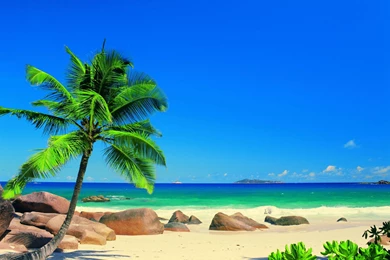 Exotic Beach Wallpapers Collection