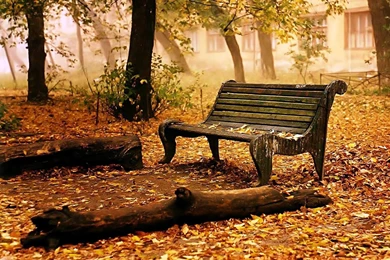 Nature Wallpaper Autumn Fall.jpg