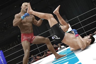 Wallpapers Gamer Ufc Undisputed Video Game Of 2560x1440