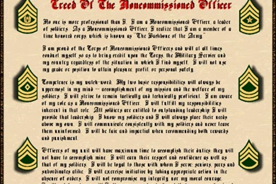 Quotes About Nco Officers. QuotesGram