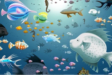 Colorful Fishes Wallpapers