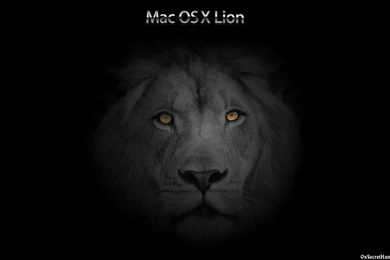 Mac Os X Lion, Black, Steampunk, 1920x1200 HD Wallpapers And FREE ...