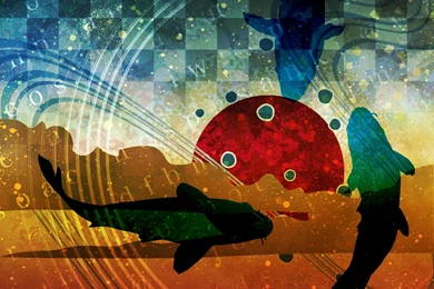 Fish: Sunrise Koi Blue Light Water Fish Ripple Yellow Animal ...