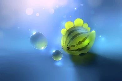1920x1080 Melon Fish & Water Abstract Desktop PC And Mac Wallpapers