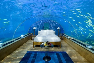 Fish Tag Wallpapers: Absolutely Best Bedroom World Shark Tank ...