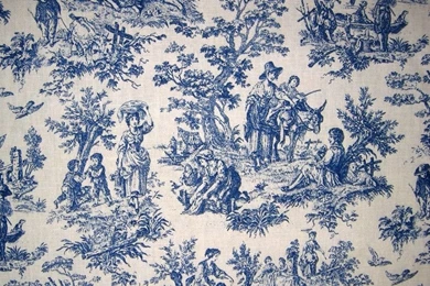 Nickyskye Meanderings: Toile, Exploring A Traditional Design ...