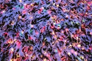 Download Christmas Lights Wallpapers Mobile