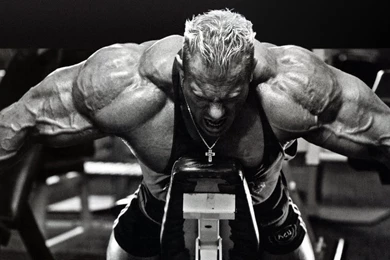 Beast Motivation – Wallpapers