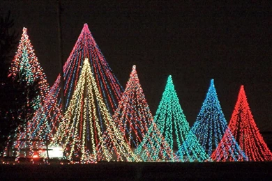 Images Of Christmas Lights – BUZZERG