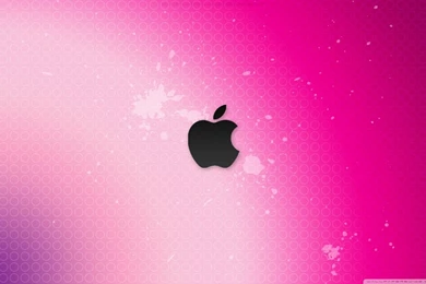 Pink Flush Apple HD Desktop Wallpapers : Widescreen : High ...